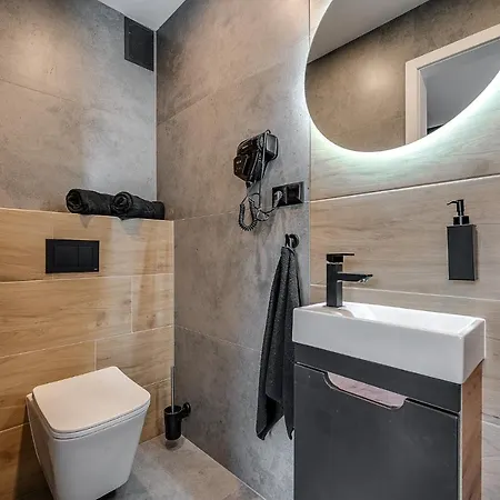 Loft House Apartment Studio Z Ogrodkiem 3 Rybnik  Exterior photo