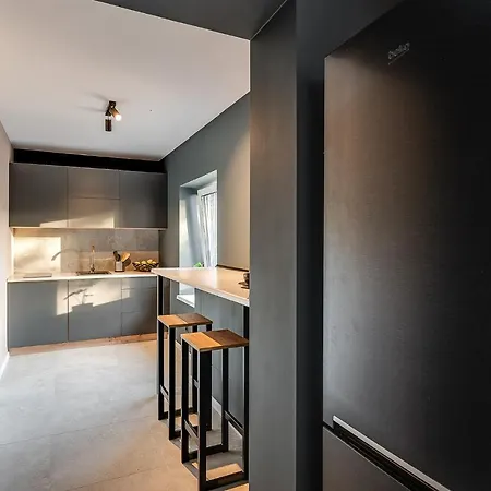 Loft House Apartment Studio Z Ogrodkiem 3 Rybnik  Exterior photo