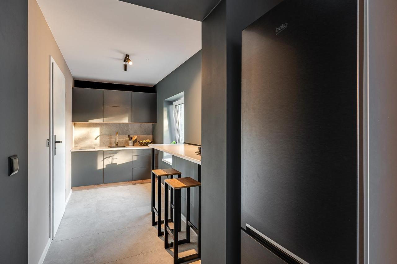 Apartment Loft House Z Ogrodkiem 3 Rybnik (Silesia)